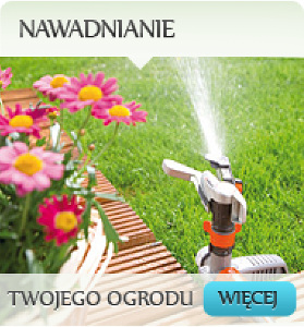 Nawadnianie ogrodu